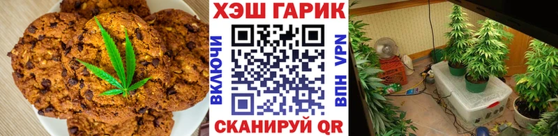Canna-Cookies марихуана  Шенкурск 